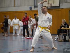 TLK2684