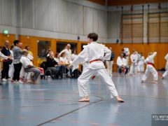 TLK2738