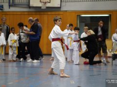 TLK2786