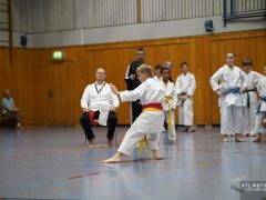 TLK2833