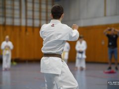 TLK2985