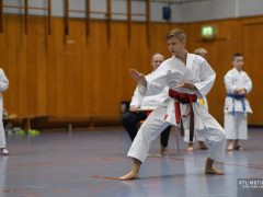 TLK2997