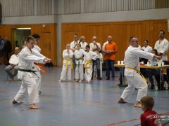 TLK3833