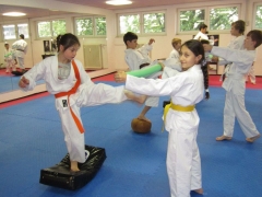 2013-11-02-kidscamp-dojo-216