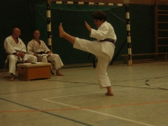 karate-lehrgang-kr-25-6-2005-048