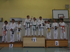2013-06-22-ngt-181