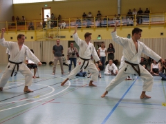 2013-06-22-ngt-184