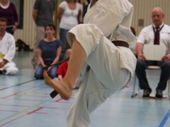 2013-06-22-ngt-234