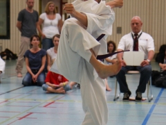 2013-06-22-ngt-241