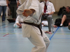 2013-06-22-ngt-253