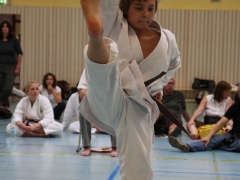 2013-06-22-ngt-257