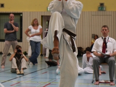 2013-06-22-ngt-261