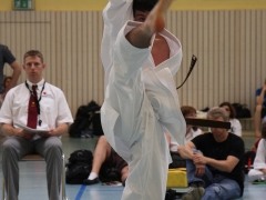 2013-06-22-ngt-272