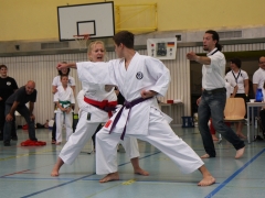 2013-06-22-ngt-317