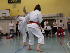 2013-06-22-ngt-333