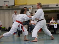 2013-06-22-ngt-338