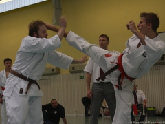 2013-06-22-ngt-352