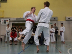 2013-06-22-ngt-380