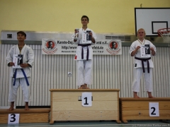 2013-06-22-ngt-387