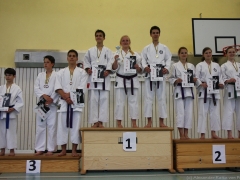 2013-06-22-ngt-388