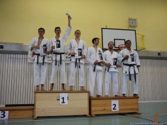 2013-06-22-ngt-391