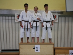 2013-06-22-ngt-396