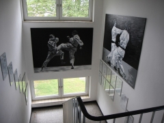 Treppenhaus und Karate-Bilder