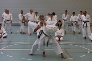 2010-05-29-fugazza-kr-490