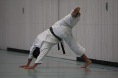 Akita in Krefeld 2008