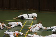 Akita in Niederkrüchten 2009