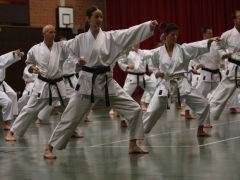 2010-10-30-akita-shikoku-104