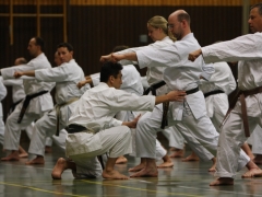 2010-10-30-akita-shikoku-177