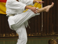 2010-10-30-akita-shikoku-264