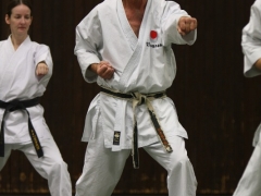 2010-10-30-akita-shikoku-322