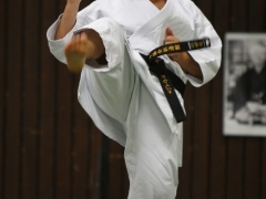 2010-10-30-akita-shikoku-404