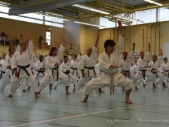 2017-10-08-bertel-dojo-0032