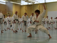 2017-10-08-bertel-dojo-0046