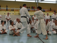 2017-10-08-bertel-dojo-0093