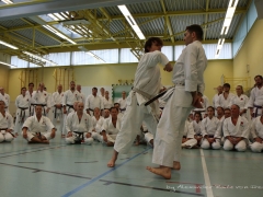 2017-10-08-bertel-dojo-0148