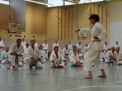 2017-10-08-bertel-dojo-0163