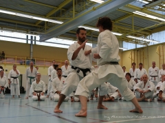 2017-10-08-bertel-dojo-0273
