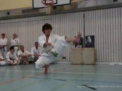 2017-10-08-bertel-dojo-0300