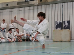 2017-10-08-bertel-dojo-0302