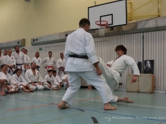 2017-10-08-bertel-dojo-0335