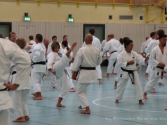 2017-10-08-bertel-dojo-0345