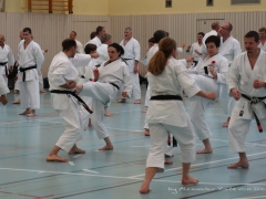 2017-10-08-bertel-dojo-0353