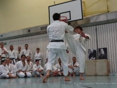 2017-10-08-bertel-dojo-0392