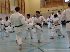 2017-10-08-bertel-dojo-0623