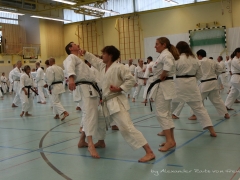 2017-10-08-bertel-dojo-0625