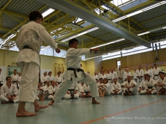 2017-10-08-bertel-dojo-0686